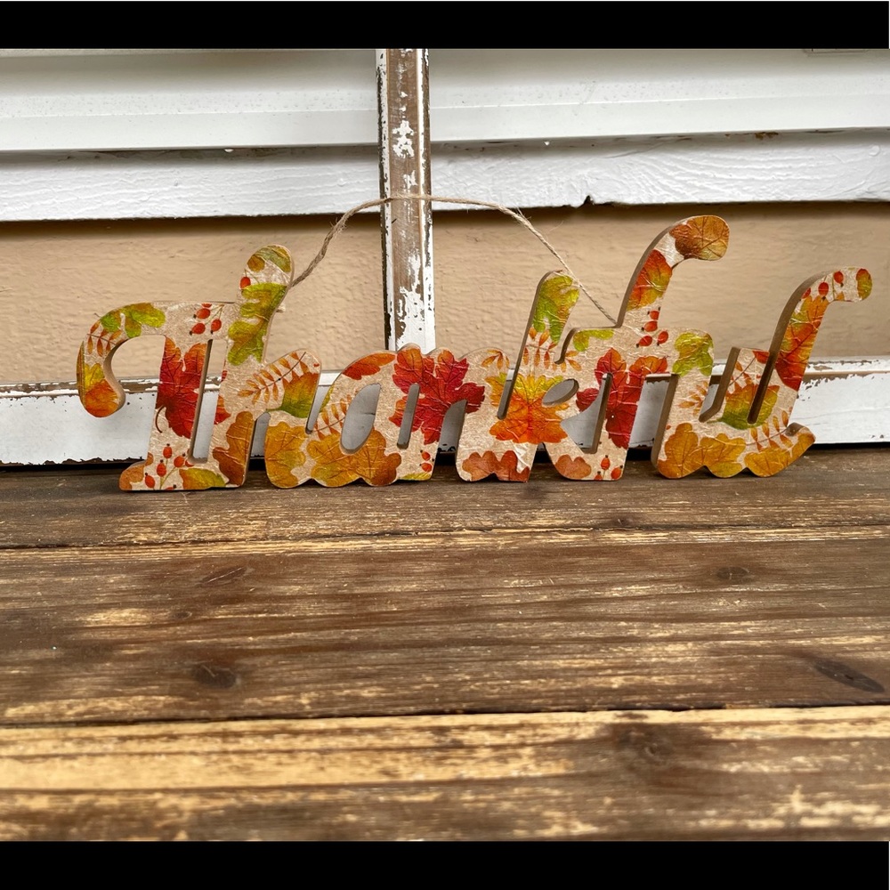 Thankful Door/Wall Hanging Word Sign; Thanksgiving decor